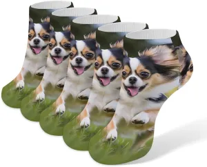 Chihuahua Dog Running 5 Pairs Low Cut Ankle Socks for Men Women Athletic Running Socks No Show Breathable